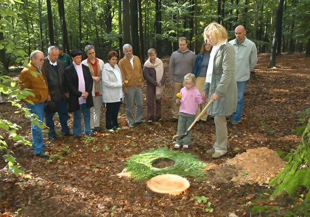 Naturbestattung / Baumbestattung